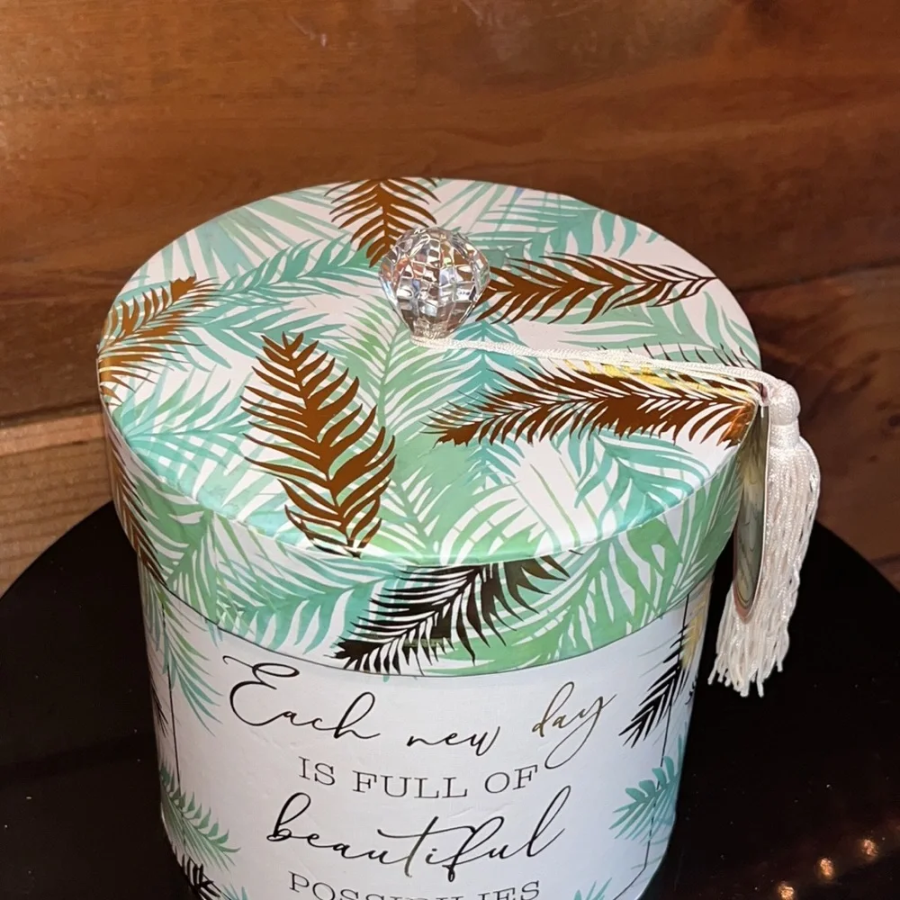 NWT Decorative Bath Tissue Holder crystal acrylic handle tassel EACH NEW DAY